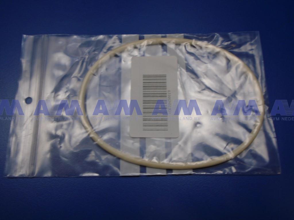 O-ring 20450819 Volvo