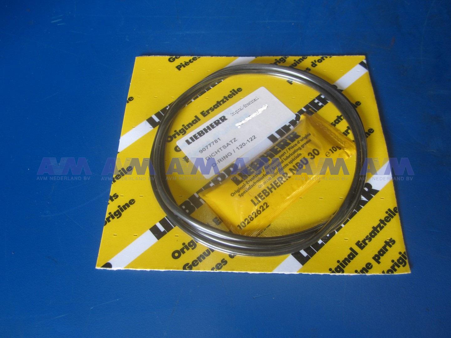 Gasket kit cylinder bushing D924 TI-E A4 10018069 Liebherr