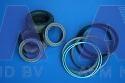 Sealing set to cylinder 99707304410 Tadano Faun