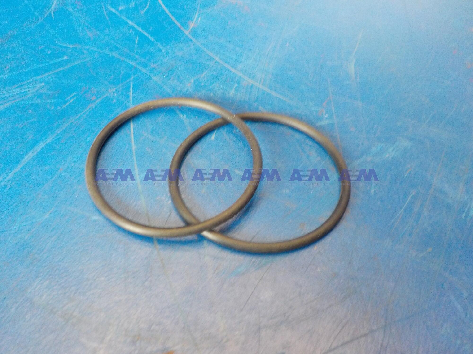 O-ring Planetengetriebe 9049108669 Grove