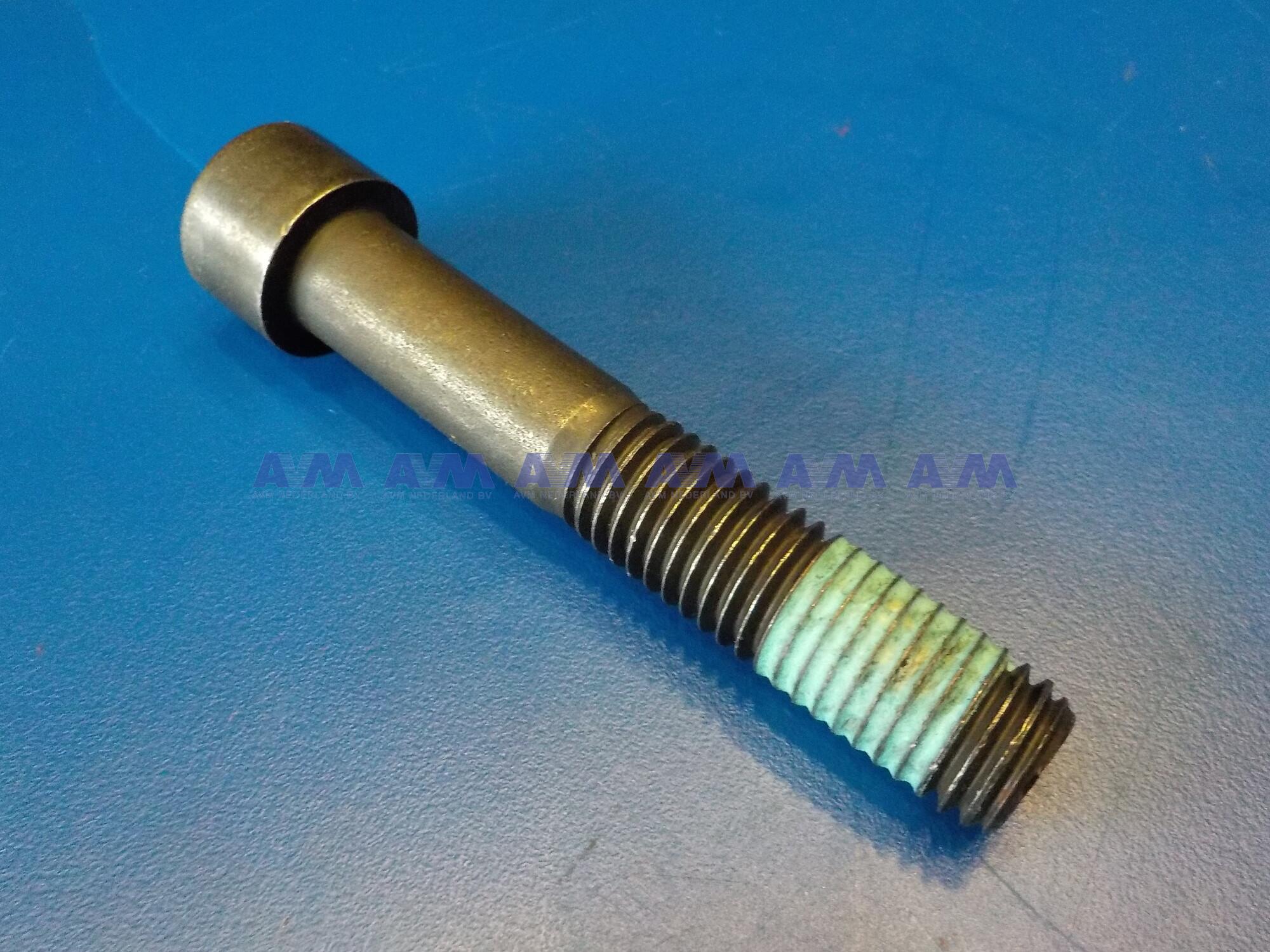 Screw 31948799 Tadano Demag