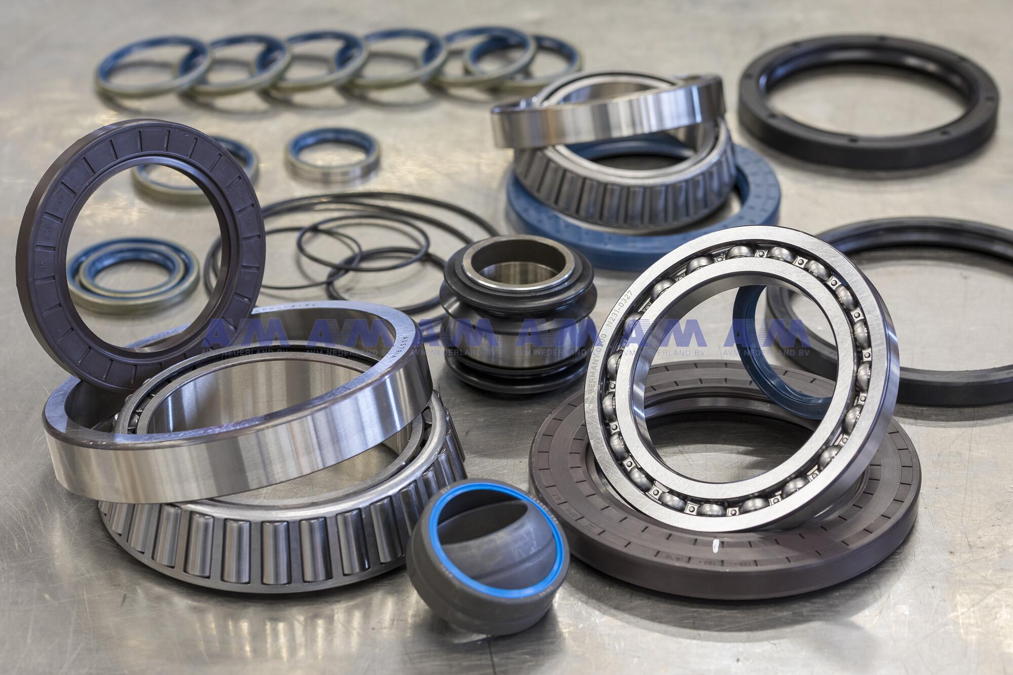 Bearing 6010-2Z/C3WT SKF