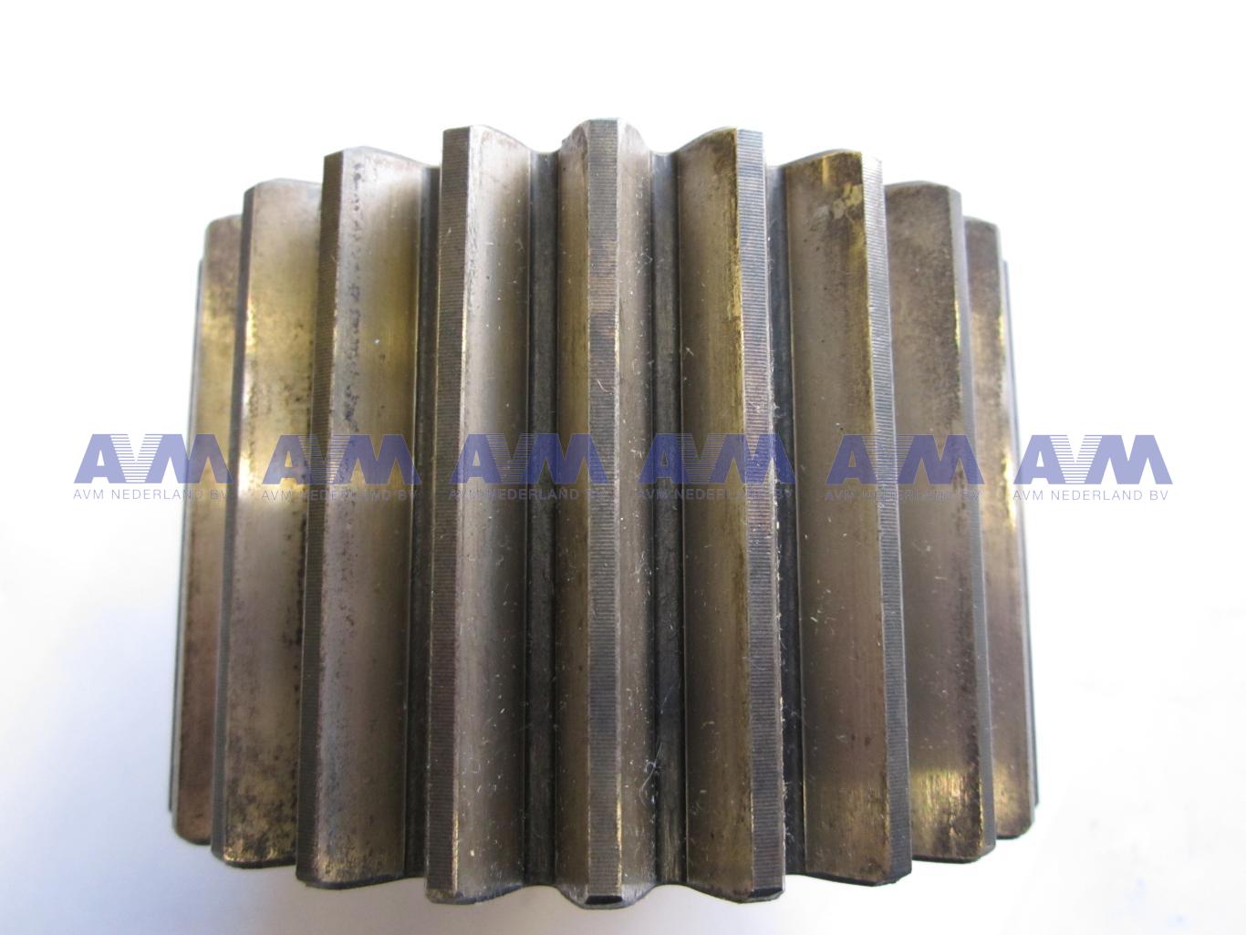 Rueda de soles 1576552 Grove